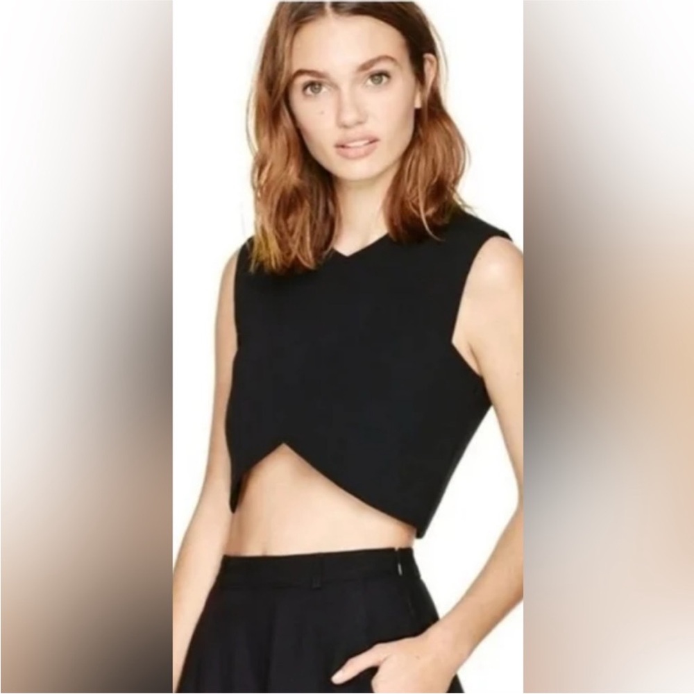 Aritzia Talula Manzanita Crop Top